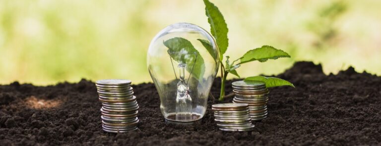 Ideas de dinero Medio ambiente