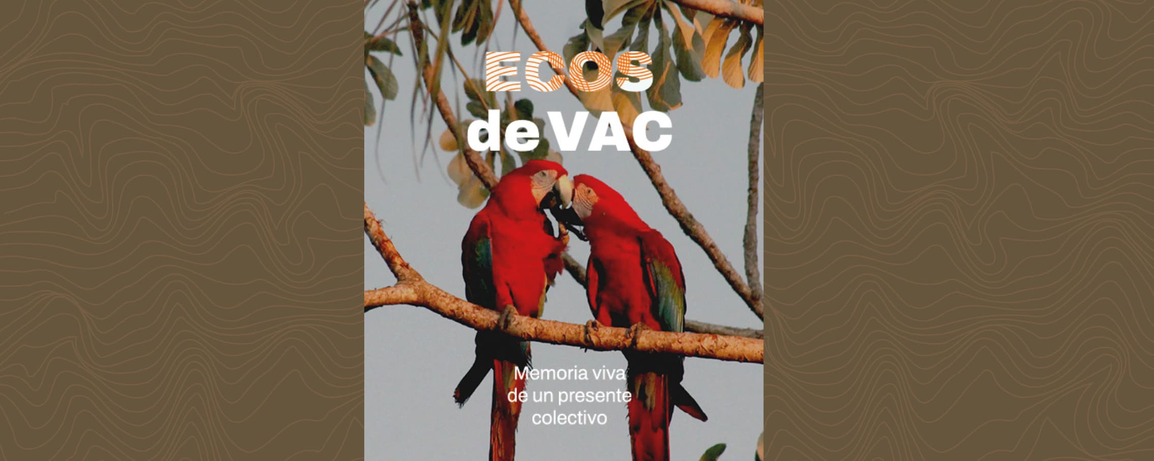 Publicación